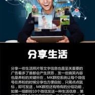 蚁群营销系统与群控软件的技术开发与销售