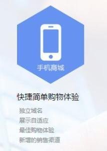 手机商城软件的技术开发与销售